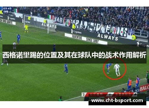 西格诺里踢的位置及其在球队中的战术作用解析