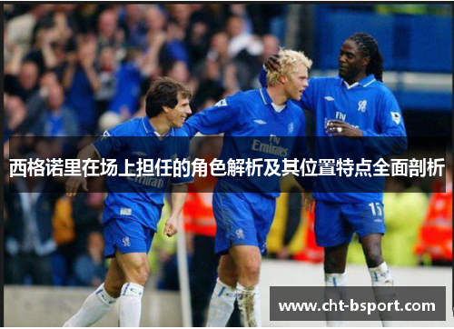 西格诺里在场上担任的角色解析及其位置特点全面剖析